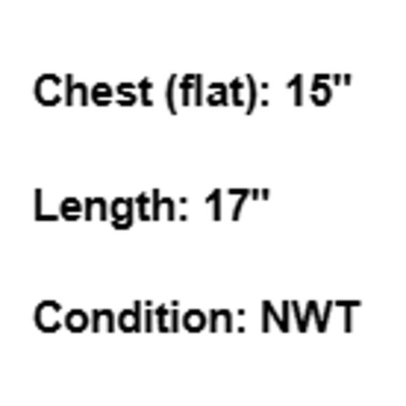 NWT Express Crop Top Lace Y2K Coquette Romantic Festival Smocked Turquoise Large - Picture 6 of 6